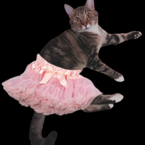 Meet your Posher, Penud - Picture 2 of 2